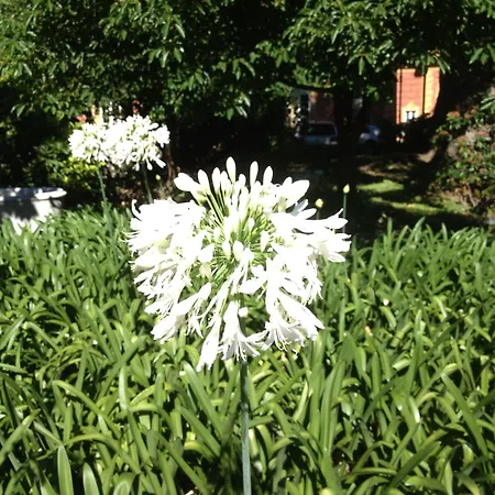 Grand Balbi 4* Sestri Levante