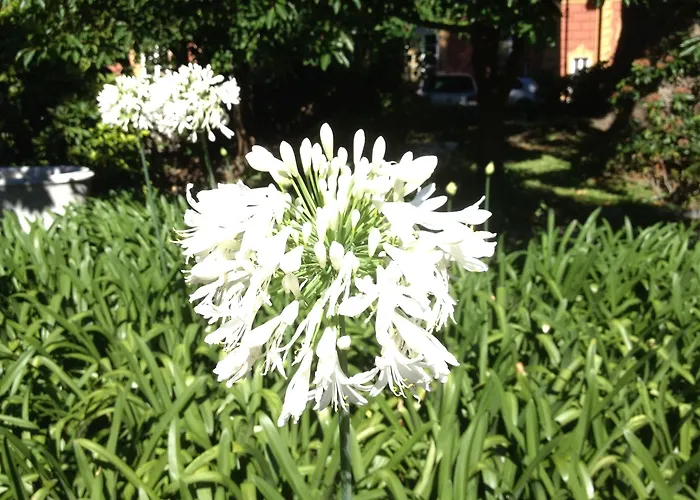 Grand Balbi 4* Sestri Levante